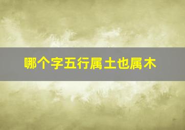 哪个字五行属土也属木