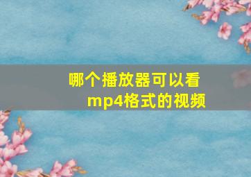 哪个播放器可以看mp4格式的视频