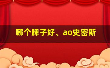 哪个牌子好、ao史密斯