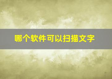 哪个软件可以扫描文字