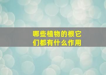 哪些植物的根它们都有什么作用