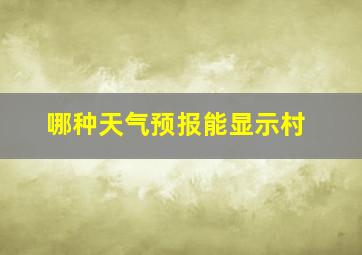 哪种天气预报能显示村