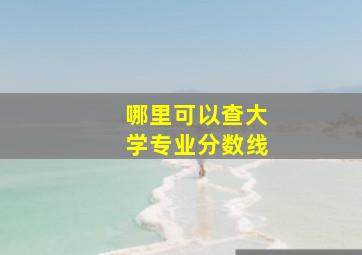 哪里可以查大学专业分数线