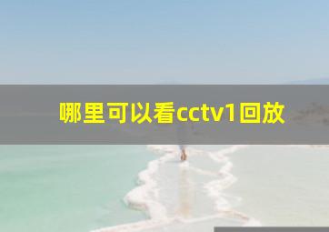 哪里可以看cctv1回放