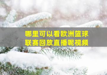 哪里可以看欧洲篮球联赛回放直播呢视频