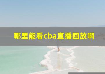 哪里能看cba直播回放啊