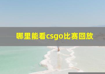 哪里能看csgo比赛回放