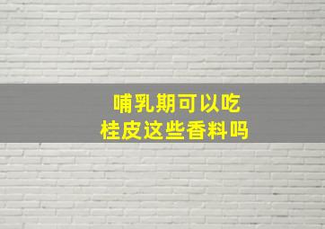 哺乳期可以吃桂皮这些香料吗