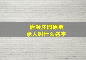 唐顿庄园原继承人叫什么名字