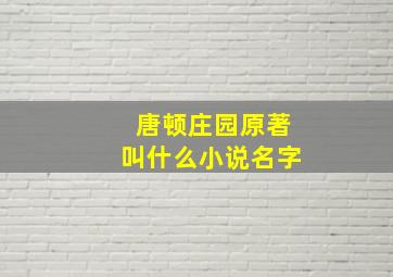 唐顿庄园原著叫什么小说名字