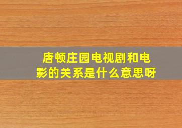 唐顿庄园电视剧和电影的关系是什么意思呀