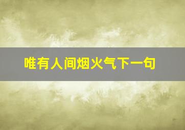 唯有人间烟火气下一句