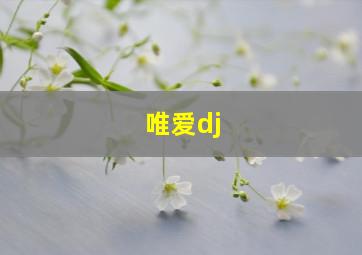 唯爱dj