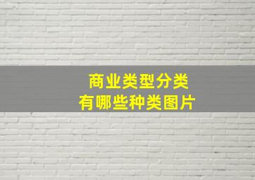 商业类型分类有哪些种类图片