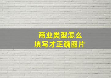 商业类型怎么填写才正确图片