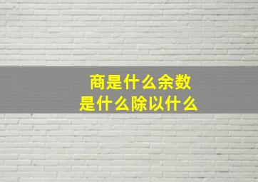 商是什么余数是什么除以什么