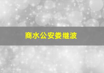 商水公安娄继波