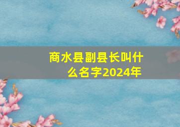 商水县副县长叫什么名字2024年