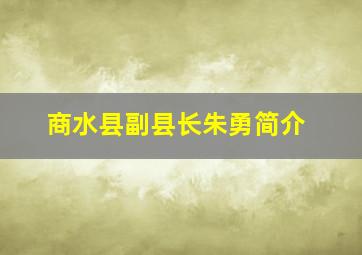 商水县副县长朱勇简介