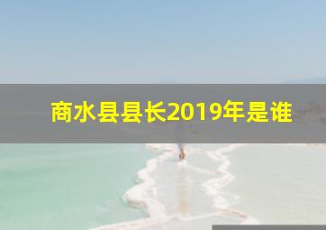 商水县县长2019年是谁