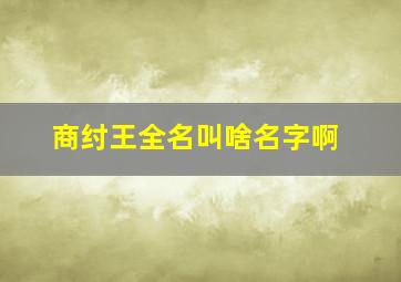 商纣王全名叫啥名字啊