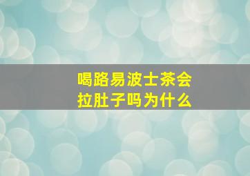 喝路易波士茶会拉肚子吗为什么