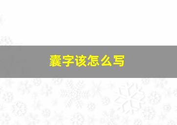 囊字该怎么写