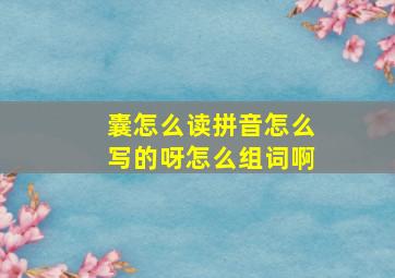 囊怎么读拼音怎么写的呀怎么组词啊