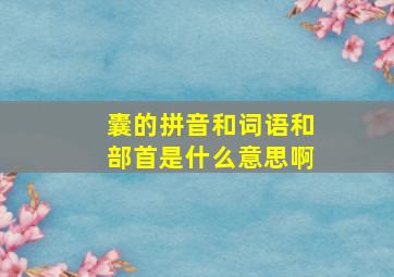 囊的拼音和词语和部首是什么意思啊