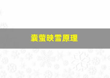 囊萤映雪原理