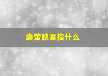 囊萤映雪指什么