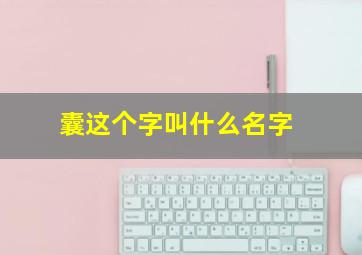 囊这个字叫什么名字