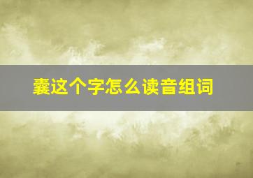 囊这个字怎么读音组词