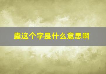 囊这个字是什么意思啊