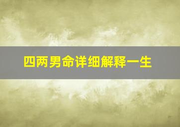 四两男命详细解释一生