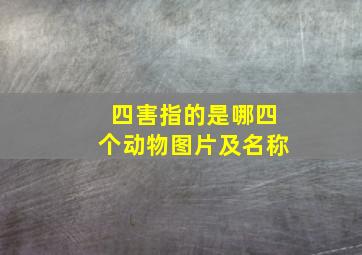 四害指的是哪四个动物图片及名称