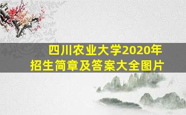 四川农业大学2020年招生简章及答案大全图片