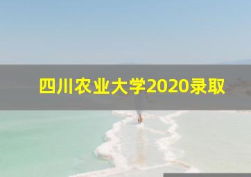 四川农业大学2020录取