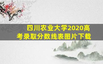 四川农业大学2020高考录取分数线表图片下载