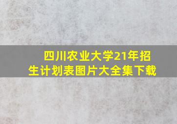 四川农业大学21年招生计划表图片大全集下载