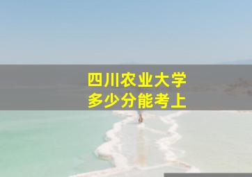 四川农业大学多少分能考上