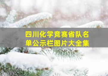 四川化学竞赛省队名单公示栏图片大全集