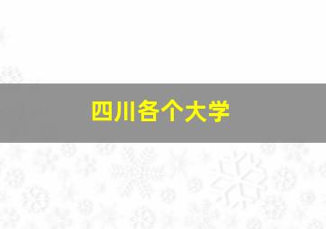 四川各个大学