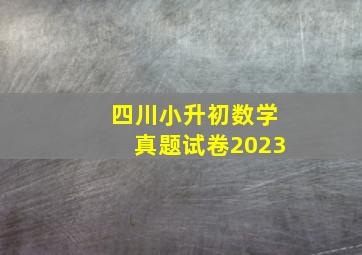 四川小升初数学真题试卷2023