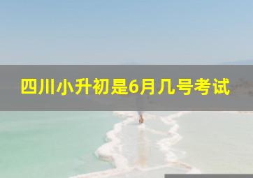 四川小升初是6月几号考试