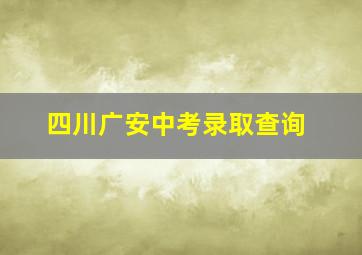 四川广安中考录取查询