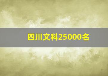 四川文科25000名