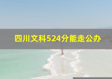 四川文科524分能走公办