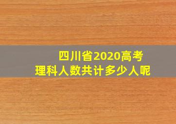 四川省2020高考理科人数共计多少人呢