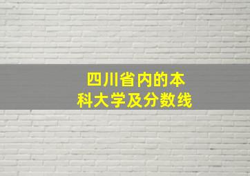 四川省内的本科大学及分数线